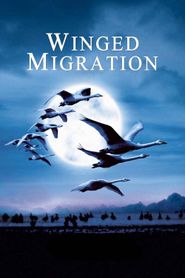  Winged Migration Poster