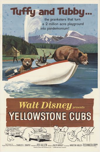  Yellowstone Cubs Poster