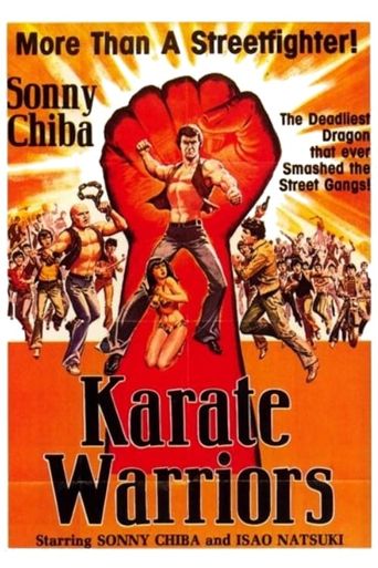  Karate Warriors Poster