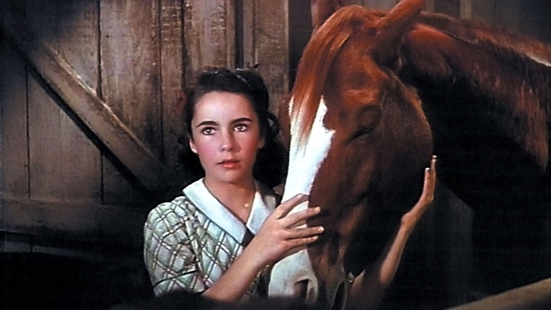 National Velvet Backdrop