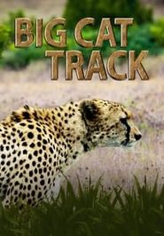  Big Cat Track Poster