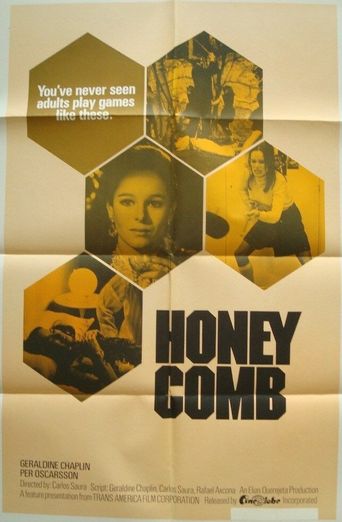  Honeycomb Poster