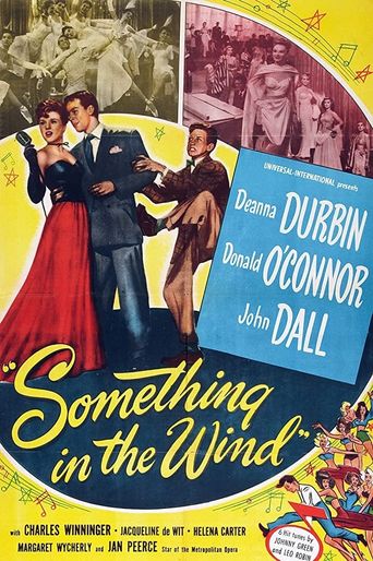  Something in the Wind Poster