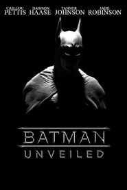  Batman Unveiled Poster