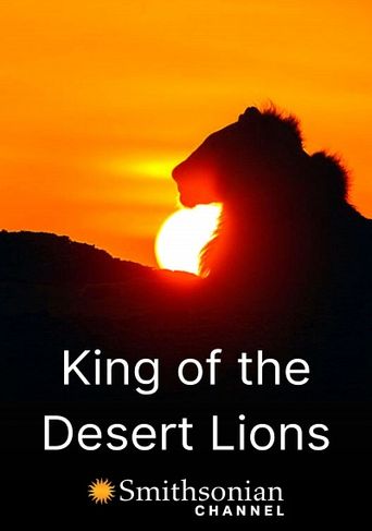  King of the Desert Lions Poster