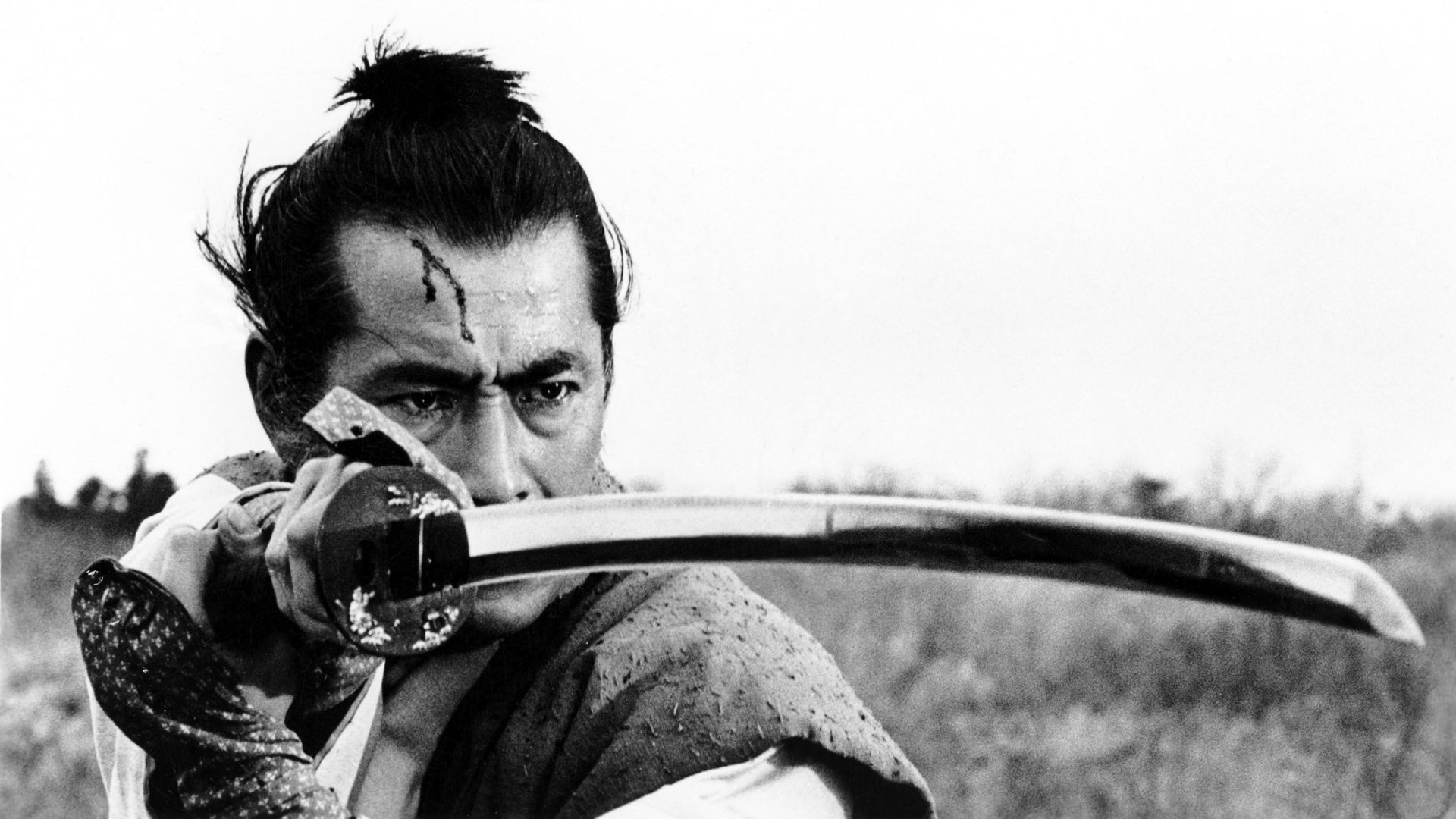Samurai Rebellion Backdrop