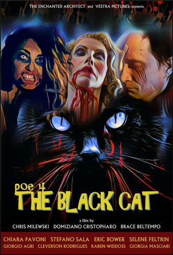  POE 4: The Black Cat Poster