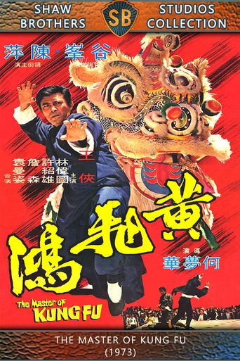  The Master of Kung Fu Poster