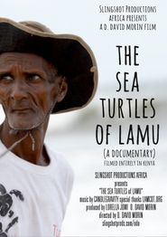  The Sea Turtles of Lamu Poster