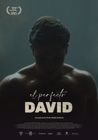  The Perfect David Poster