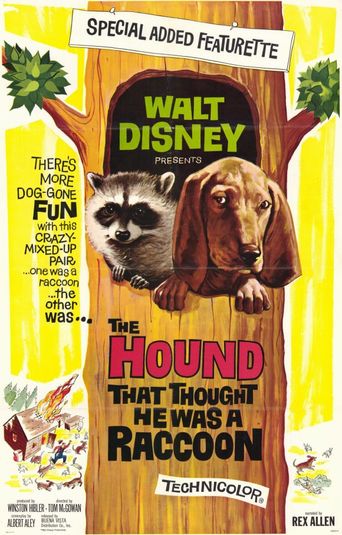  The Hound That Thought He Was a Raccoon Poster