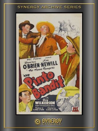  The Pinto Bandit Poster