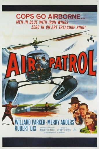  Air Patrol Poster
