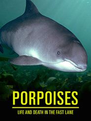  Porpoises: Life and Death in the Fast Lane Poster
