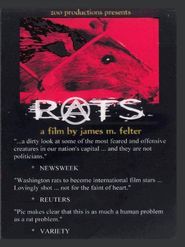  Rats Poster