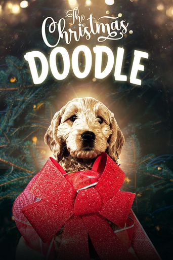  The Christmas Doodle Poster