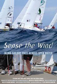 Sense the Wind Poster
