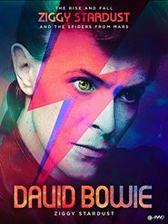  David Bowie: Stardust Poster