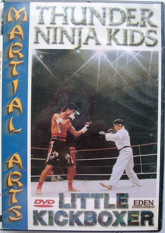  Little Kickboxer Poster
