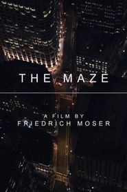 The Maze Poster
