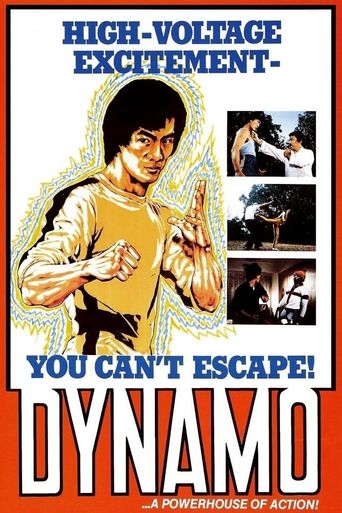  Dynamo Poster