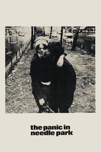  The Panic in Needle Park Poster
