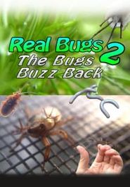  Real Bugs 2 the Bugs Buzz Back Poster