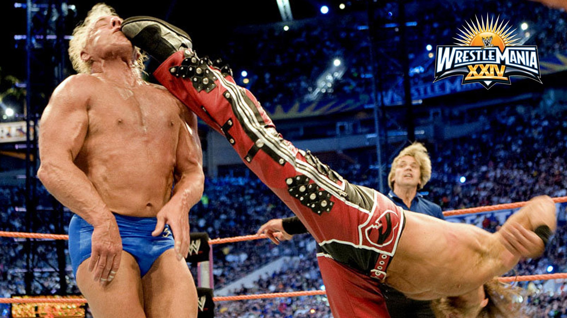 WWE WrestleMania XXIV Backdrop