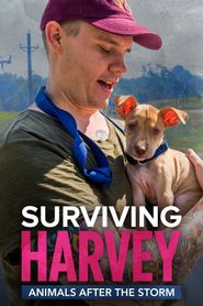  Surviving Harvey: Animals After the Storm Poster