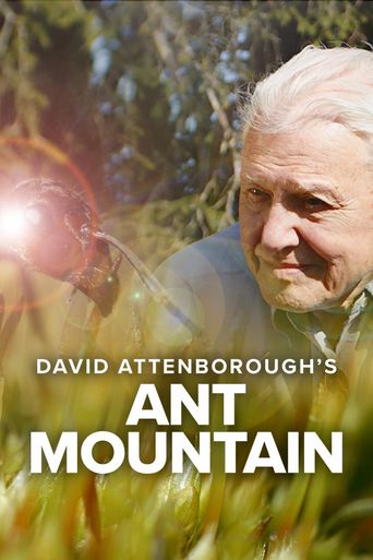  Attenborough's Ant Mountain Poster