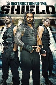  Journey to SummerSlam: The Destruction of The Shield Poster