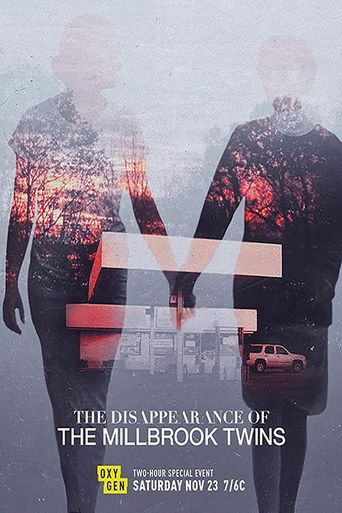  The Disappearance of the Millbrook Twins Poster