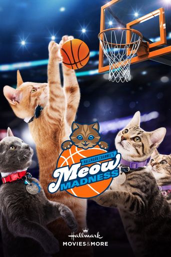  Meow Madness Poster