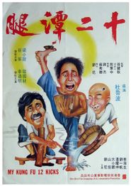  My 12 Kung Fu Kicks Poster