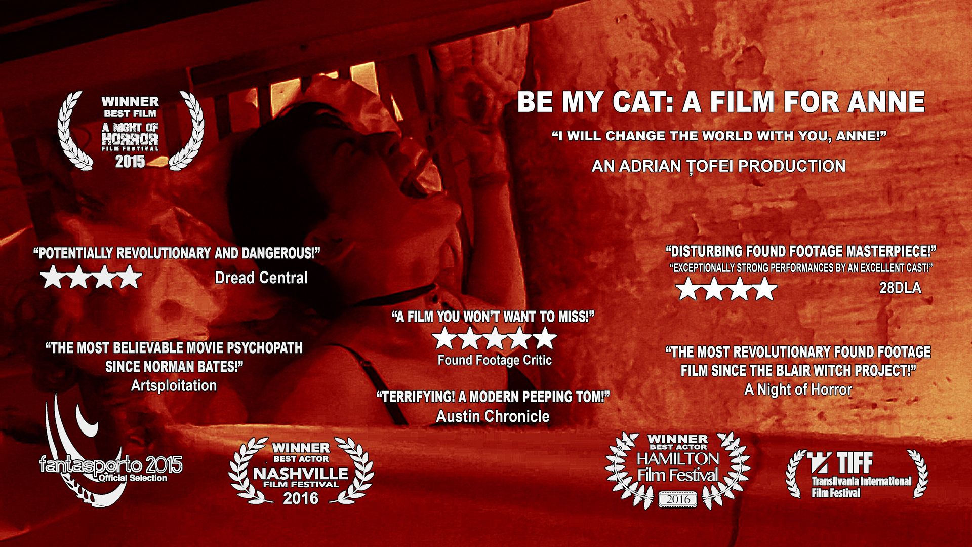 Be My Cat: A Film for Anne Backdrop