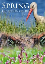 Spring: The Return of Life Poster