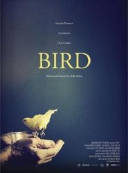  Bird Poster