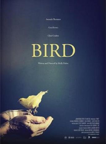  Bird Poster
