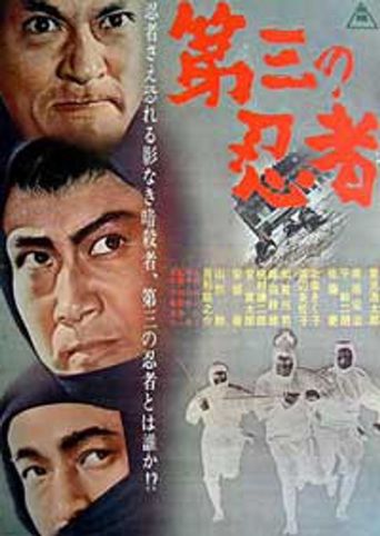  The Third Ninja Poster