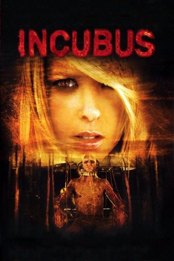  Incubus Poster
