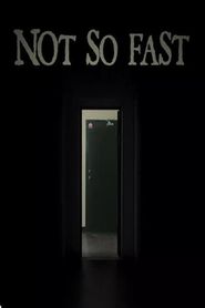  Not So Fast Poster