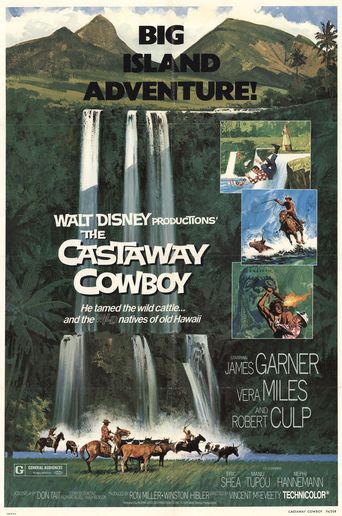  The Castaway Cowboy Poster