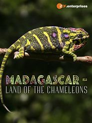 Madagascar: Land of the Chameleons Poster