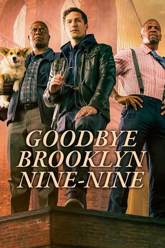  Goodbye Brooklyn Nine Nine Poster