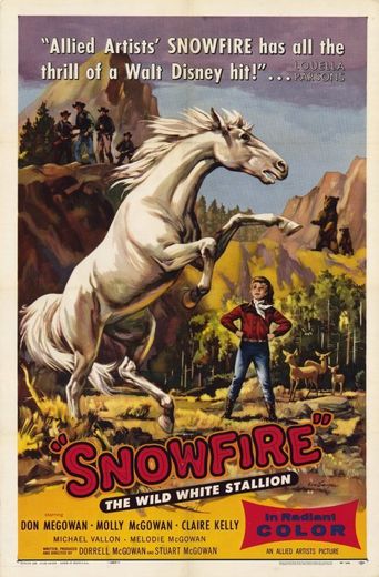  Snowfire Poster