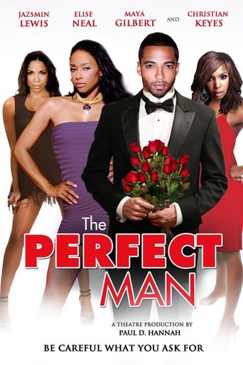  The Perfect Man Poster