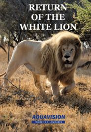  Return of the White Lion Poster