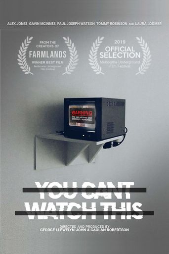  You Can’t Watch This Poster