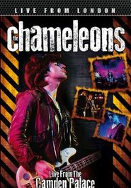 The Chameleons: Live From London Poster