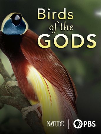  Birds of the Gods Poster